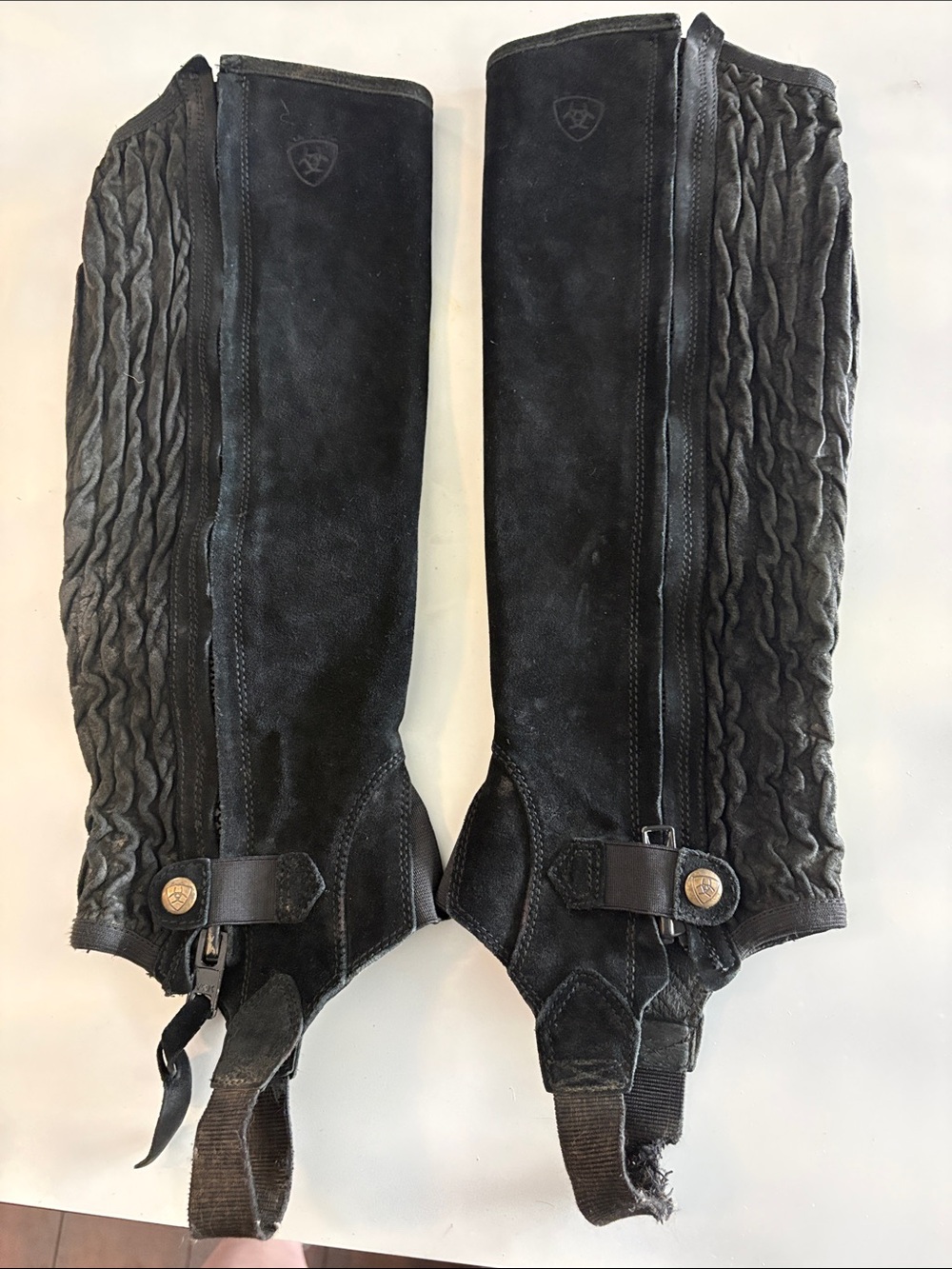Ariat Black Suede Riding Half Chaps with Quilted Side Panels